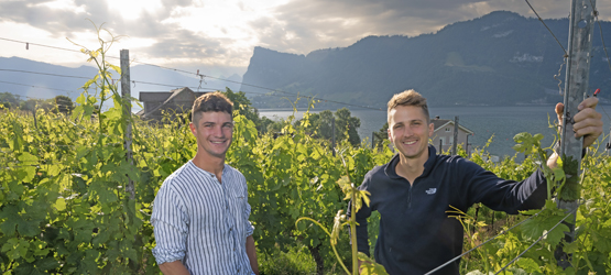 Weinbau Ottiger